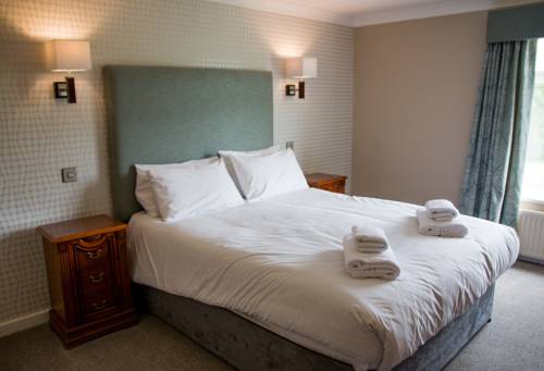 Hotel Photos
