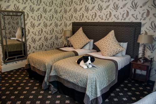Hotel Photos