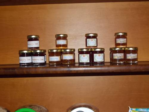 Hotel Photos