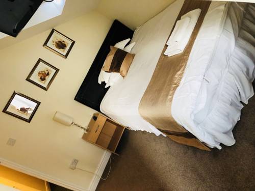 Hotel Photos