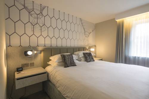 Hotel Photos