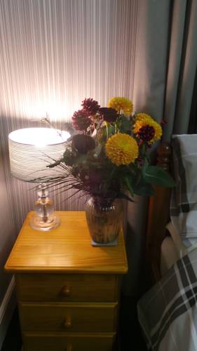 Hotel Photos