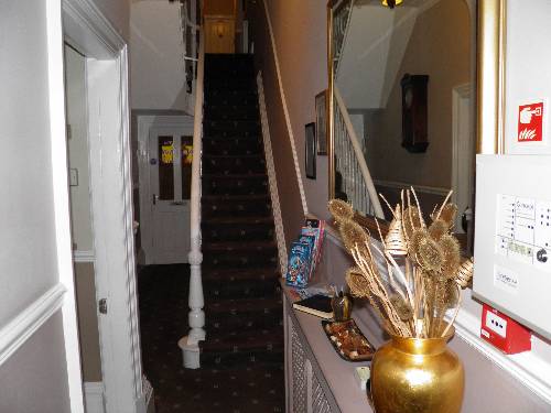 Hotel Photos