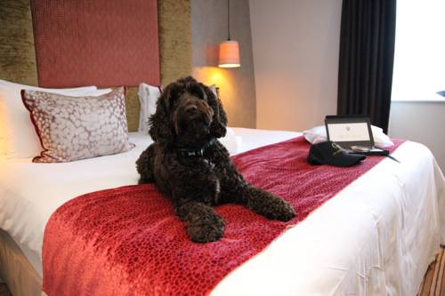 Hotel Photos