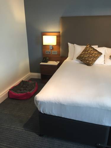 Hotel Photos