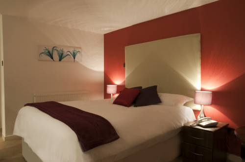 Hotel Photos