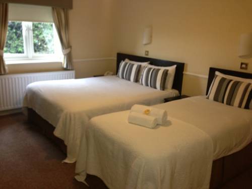 Hotel Photos