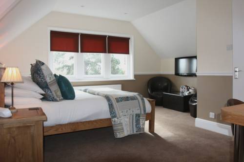 Hotel Photos