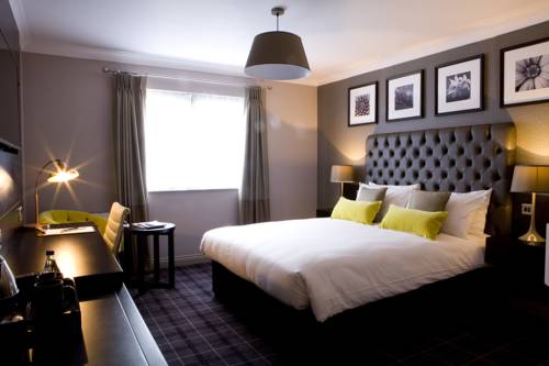 Hotel Photos