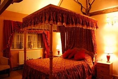 Hotel Photos