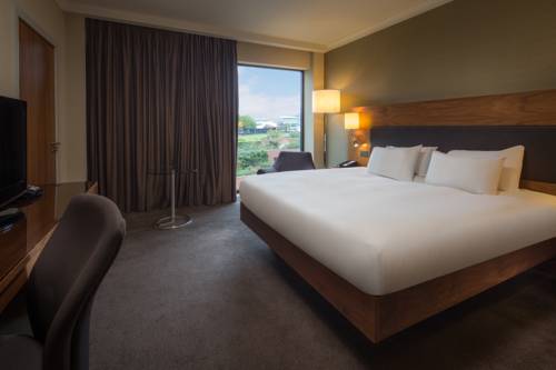 Hotel Photos
