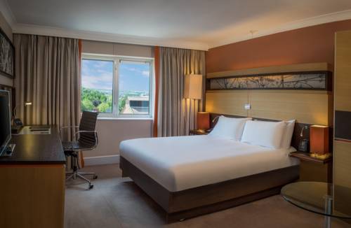 Hotel Photos