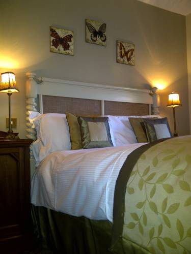Hotel Photos