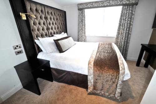Hotel Photos