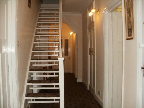 Hotel Photos