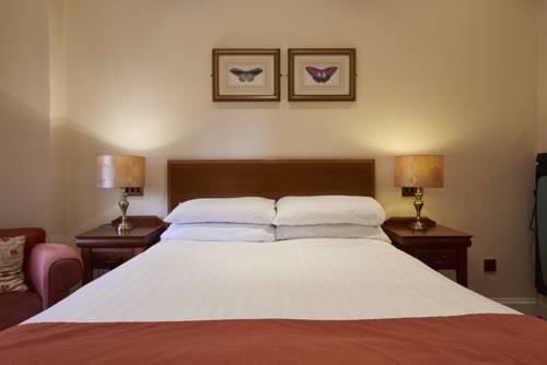 Hotel Photos
