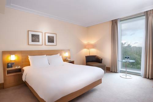 Hotel Photos