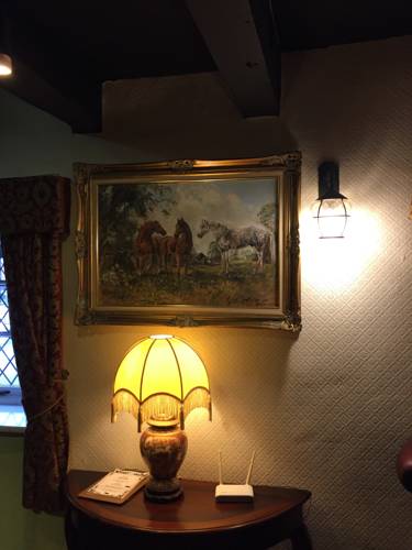 Hotel Photos