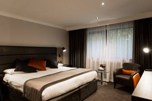 Hotel Photos