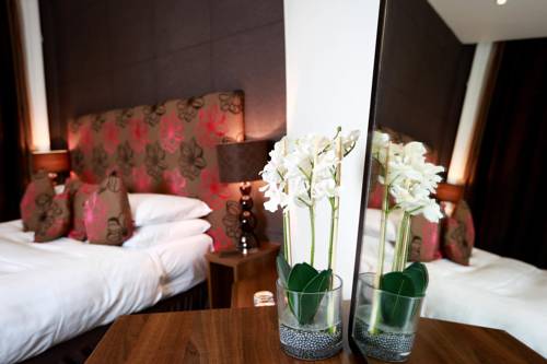 Hotel Photos