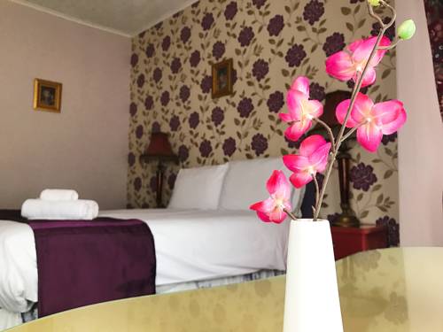Hotel Photos