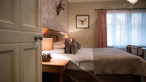 Hotel Photos