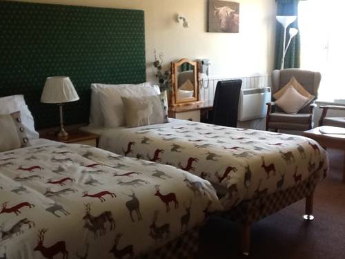 Hotel Photos