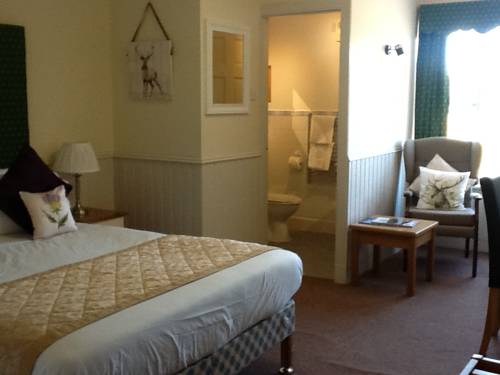 Hotel Photos