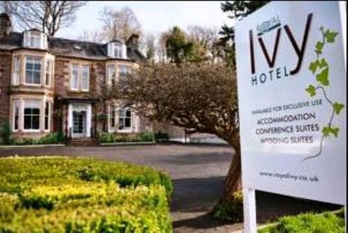 The Ivy