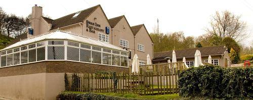 The Swan