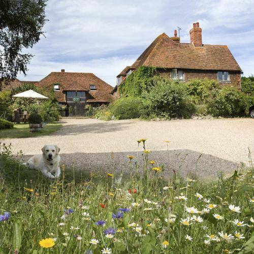 Elvey Farm