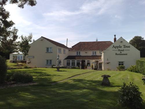 Hotel Photos