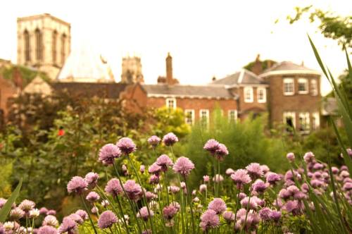 Grays Court