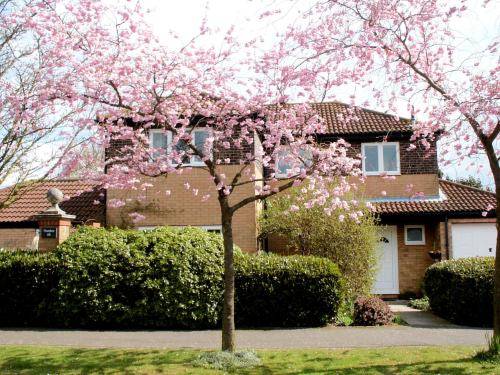 Number 68 BandB