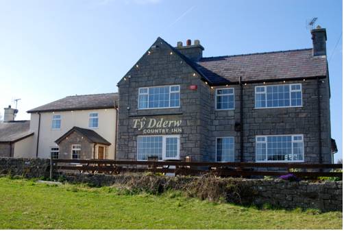 Ty Dderw Country Inn