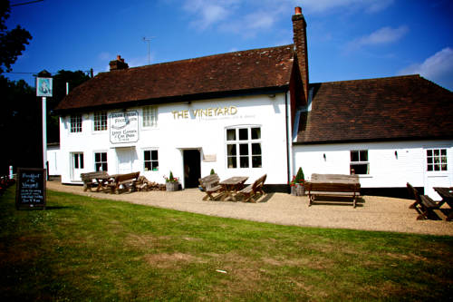 The Vineyard