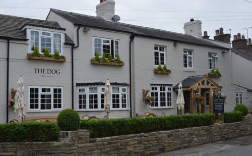 The Dog in Over Peover