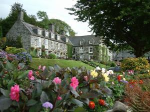 Gwesty Maes Y Neuadd Hotel