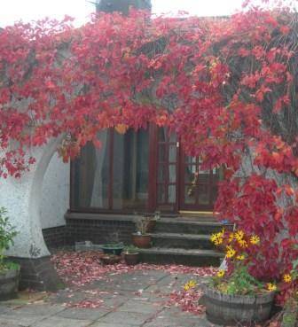 Woodlands Bed and Breakfast