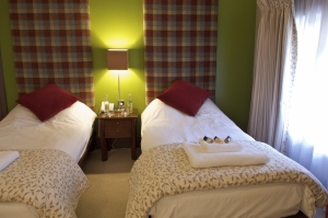 The Forest Hotel in