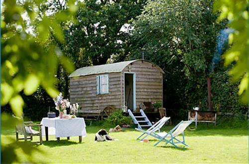 Mollies Hut