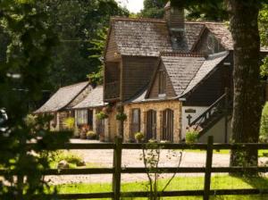 The Lakeview Manor
