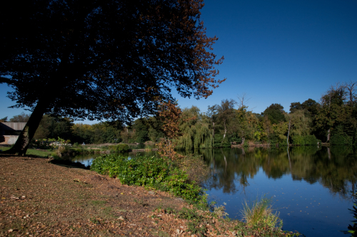 Inn On The Lake