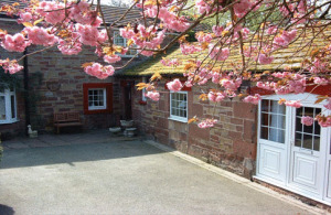 Hotel Photos