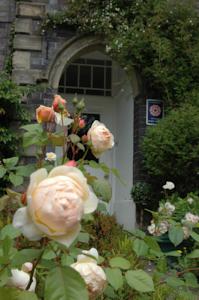 Avon Guest House