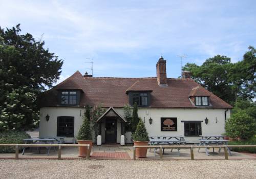 The Yew Tree