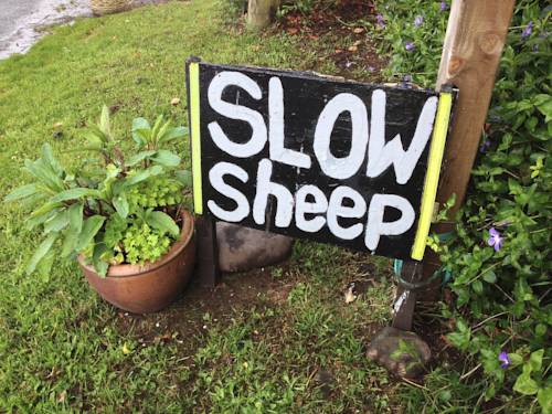 SlowSheep BandB