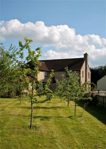 Meadow View