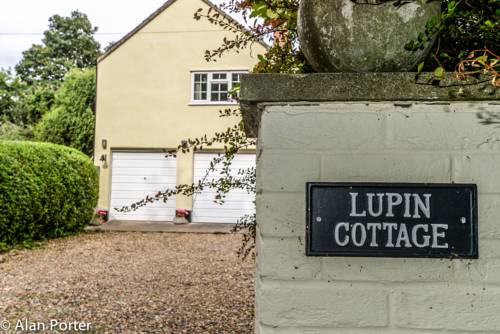 Lupin Annex