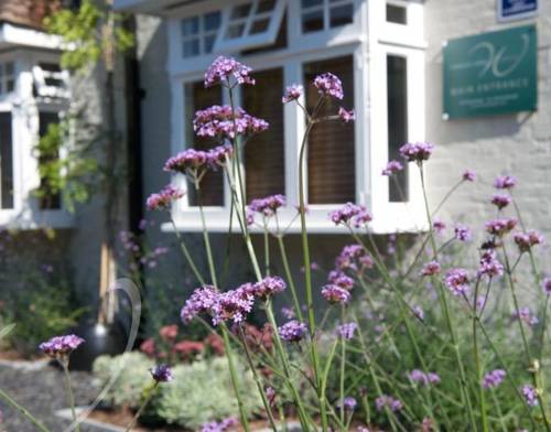 Frances Lodge BandB